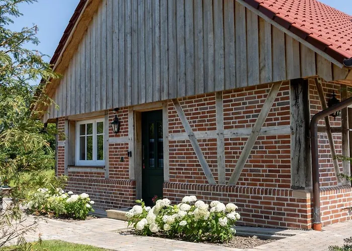 Weitblick - Ruhepol In Muensterlaender Parklandschaft Lägenhet *